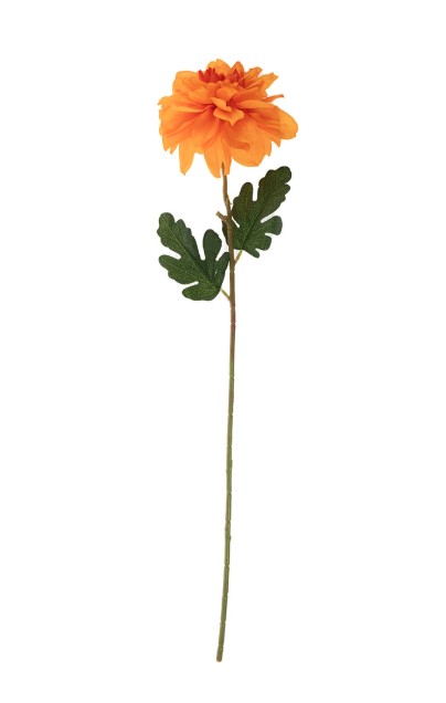 Dalia VC7485 Arpex